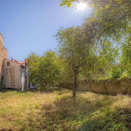 Luxury And Historical Right In The Center 130 M2, Terrace And Garden Banská Bystrica